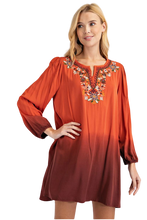 Load image into Gallery viewer, Embroidered Mini/Tunic