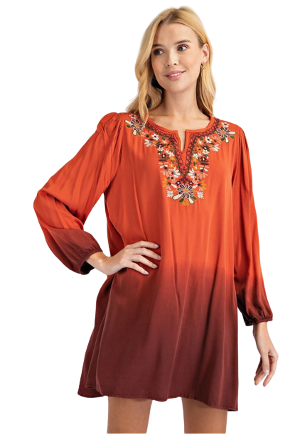 embroidered tunic mini dress Merin Embroidery Mini Tunic Dress – watereverysunday main image 1
